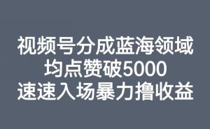 视频号分成蓝海领域，均点赞破5000，速速入场暴力撸收益-第一资源库