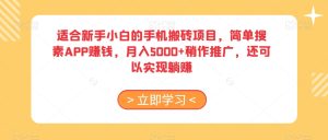 适合新手小白的手机搬砖项目，简单搜素APP赚钱，月入5000+稍作推广，还可以实现躺赚【揭秘】-第一资源库