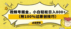 视频号掘金,小白轻松日入800+(附100%过原创技巧)【揭秘】-第一资源库