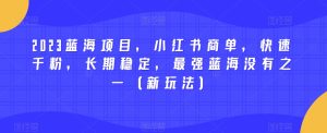 2023蓝海项目，小红书商单，快速千粉，长期稳定，最强蓝海没有之一（新玩法）-第一资源库