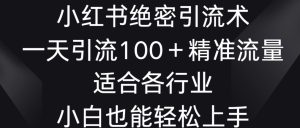 小红书绝密引流术，一天引流100+精准流量，适合各个行业，小白也能轻松上手【揭秘】-第一资源库