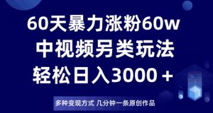 60天暴力涨粉60W，中视频另类玩法，日入3000＋，几分钟一条原创作品多种变现方式-第一资源库