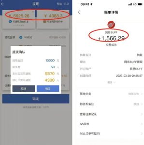 最新csgo游戏搬砖游戏，无需挂机小白无脑也能日入300+-第一资源库