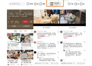 小红书蓝海类赛道：小动物打赏与购买变现副业项目，一条龙玩法分享给你！-第一资源库