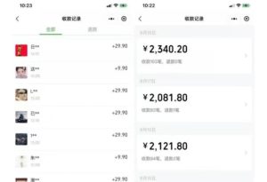 同城相亲项目，最新的蓝海项目，0基础可做，一部手机日入500+【揭秘】-第一资源库