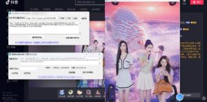 最新电脑版抖音/快手/B站直播源获取+直播间实时录制+直播转播软件【全套软件+详细教程】-第一资源库