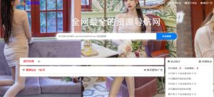 总裁导航系统2023最新开源版，简洁清爽的页面值得你前来体验【源码+教程】-第一资源库