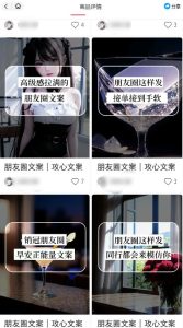 智能原创封面和创业文案，快手小红书引流精准创业粉，微信每天被加100+（揭秘）-第一资源库