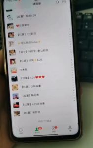 全面解析小红书图文引流日引50私域流量【揭秘】-第一资源库