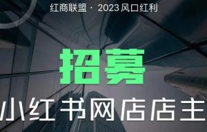 红商联盟·小红书无货源电商1.0，0粉丝无需囤货，小白也可以轻松上手的无货源项目-第一资源库