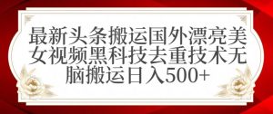 最新头条搬运国外漂亮美女视频黑科技去重技术无脑搬运日入500+【揭秘】-第一资源库