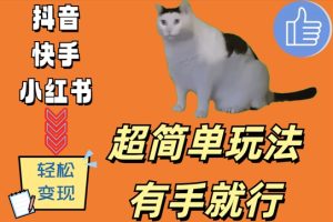 超简单玩法,有手就行,靠猫咪视频日入500+【揭秘】-第一资源库