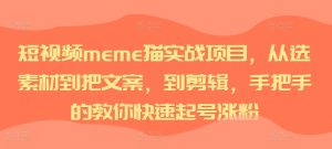 短视频meme猫实战项目,从选素材到把文案,到剪辑,手把手的教你快速起号涨粉-第一资源库