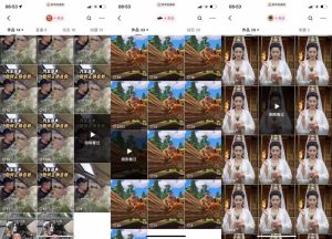 狗熊岭快手连怼技术,好物,涨粉都可以连怼-第一资源库