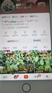 最新抖音暴力起万粉技术，一天涨万粉，发三四个作品涨近万粉-第一资源库