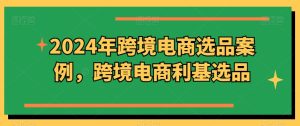2024年跨境电商选品案例,跨境电商利基选品(更新11月)-第一资源库