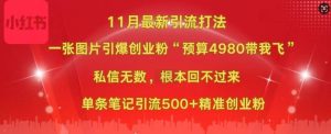 小红书11月最新图片打粉，一张图片引爆创业粉，“预算4980带我飞”，单条引流500+精准创业粉-第一资源库