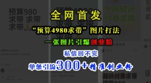 小红书“预算4980带我飞”图片打法，一张图片引爆创业粉，私信回不完，单条引流300+精准创业粉-第一资源库
