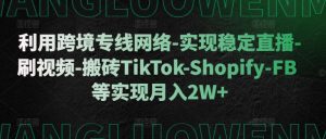 利用跨境专线网络-实现稳定直播-刷视频-搬砖TikTok-Shopify-FB等实现月入2W+【揭秘】-第一资源库