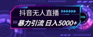 抖音快手视频号全平台通用无人直播引流法,利用图片模板和语音话术,暴力日引流100+创业粉【揭秘】-第一资源库