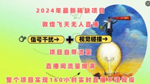 2024年最新稀缺项目敦煌飞天无人直播，项目自带流量，流量爆满，实现160小时实时直播不违规操-第一资源库