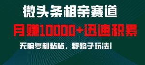 微头条相亲赛道，迅速积累，无脑复制粘贴，野路子玩法，月入1w-第一资源库