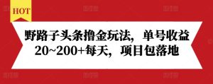 野路子头条撸金玩法,单号收益20~200+每天,项目包落地-第一资源库