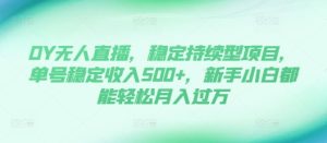 DY无人直播，稳定持续型项目，单号稳定收入500+，新手小白都能轻松月入过万【揭秘】-第一资源库