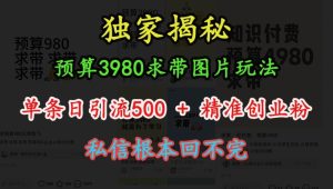 预算3980求带 图片玩法，单条日引流500+精准创业粉，私信根本回不完-第一资源库