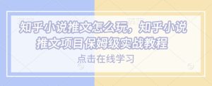 知乎小说推文怎么玩，知乎小说推文项目保姆级实战教程-第一资源库