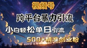 跨平台暴力引流,私域完美闭环,日引500+精准创业粉-第一资源库