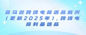 亚马逊跨境电商选品案例(更新2025年3月),跨境电商利基选品-第一资源库