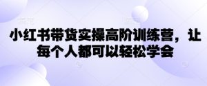 小红书带货实操高阶训练营，让每个人都可以轻松学会-第一资源库