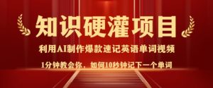 知识硬灌,10秒钟让你记住一个单词,3分钟一个视频,日入多张不是梦-第一资源库