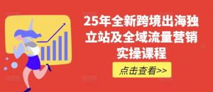 25年全新跨境出海独立站及全域流量营销实操课程，跨境电商独立站TIKTOK全域营销普货特货玩法大全-第一资源库