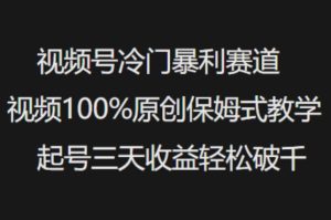 视频号冷门暴利赛道视频100%原创保姆式教学起号三天收益轻松破千-第一资源库
