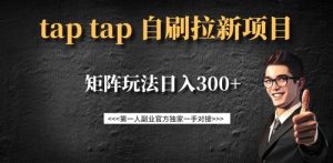 taptap拉新自刷项目,一个新用户14元,矩阵玩法日入300+-第一资源库