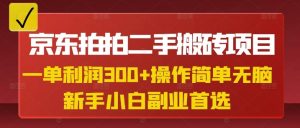 京东拍拍二手搬砖项目,一单纯利润3张,操作简单,小白兼职副业首选-第一资源库