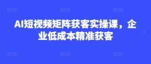AI短视频矩阵获客实操课,企业低成本精准获客-第一资源库