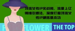 顶流女性IP实战班，流量上亿情绪引爆法，深度打磨顶流女性IP硬核基本功-第一资源库