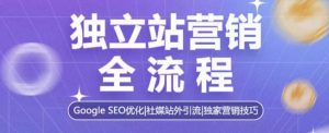 独立站营销全流程，Google SEO优化，社媒站外引流，独家营销技巧-第一资源库