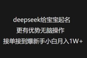deepseek给宝宝起名更有优势无脑操作接单接到爆新手小白月入1W+-第一资源库