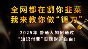 全网都在割你韭菜,我来教你做镰刀,2025普通人如何通过知识付费,实现财F自由【揭秘】-第一资源库