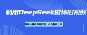 利用DeepSeek做怀旧视频，流量号多渠道变现能力强-第一资源库