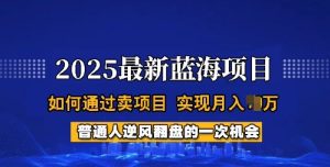 2025蓝海项目，普通人如何通过卖项目，实现月入过W，全过程【揭秘】-第一资源库