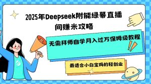 2025年Deepseek附能绿幕直播间挣米攻略无需拜师自学月入过W保姆级教程，最适合小白宝妈的轻创业-第一资源库