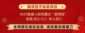 必看,做项目不如卖项目,2025普通人如何通过“卖项目”实现月入十个,年入百个-第一资源库