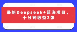 最新Deepseek+蓝海项目，十分钟收益2张-第一资源库