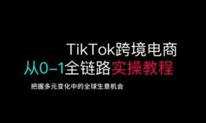 TikTok跨境电商从0-1全链路全方位实操教程,把握多元变化中的全球生意机会-第一资源库