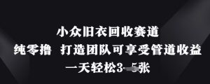 小众旧衣回收赛道，纯零撸 打造团队可享受管道收益，一天轻松3张-第一资源库